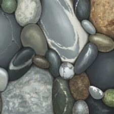 Kritina Boardman, AFCA, beach pebbles, painting, realism, award  winning artists, Federation of Canadian Artists, Victoria Chapter, 2014 Spring Show, 