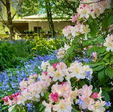 home and garden tour, gardens, nature, sustainability, Gulf Islands, Gulf Island getaways, daytrips