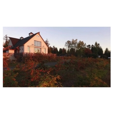 Sea Cider, apple, cider, food, music, fun, kids, adults, activity, victoria, saanichton, saanich, peninsula, vancouver island
