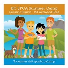 camps, kids, summer camp, animals, camp, workshop, fun, games, crafts, guest speakers, shelter, spca, bcspca, bc spca