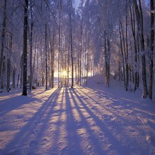 Winter Meditation Retreat,Bethlehem Centre