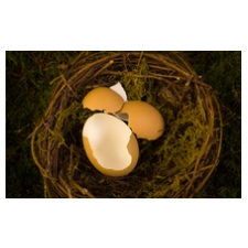 Spring Retreat: Awaken, with a Renewed Mindfulness,Bethlehem Centre