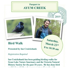walk, nature, bird, birding, creek, park