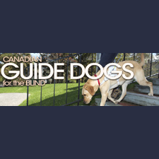 Dog, Walk, Sports, Charity, Fundraiser, Lunch, 