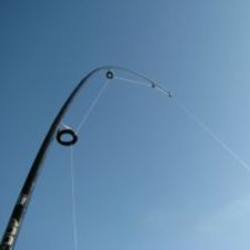 fishing, fishing rod