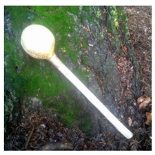 rattle, rawhide, shamanic, journey, 