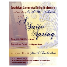 Music, concert, violin, viola, cello, bass, strings, orchestra, clarinet