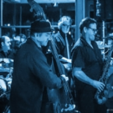 Sky Valley, Jazz, Saltspring, Treehouse, Tree House