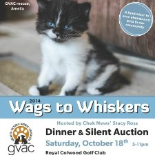 fundraiser, animals, rescue, GVAC