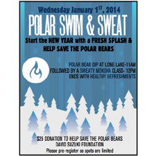polar bear, swim, sweat, donation, yoga, moksha, campaign, fun, new year, fresh start, refreshments