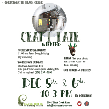artisans, Christmas, Fair, Photos, donkey, Swag, shopping, local