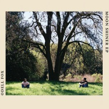band, music, musicians, Americana, folk, roots