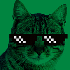Digital Folk, video game, music