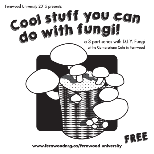 Fernwood, Fernwood University, Mushrooms, DIY, Fungi, DIY Fungi, Learning, Education, Mushroom, March, Free, Event, Beer, All Ages, All Levels
