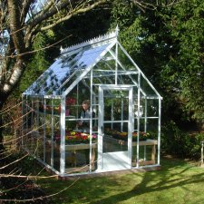 garden, plants