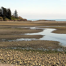 beach, nature program, guided walk, adults only, free