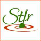 gut, digestion, nutrition, immunity, energy, fermented, turmeric,spices, heath