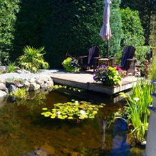 garden, tour