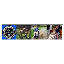 service dog, owner trained, training, dog, dog training, dog training class, senior, disabled, disability, friendly, family, help