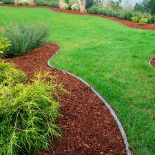 grass, eco lawn, green