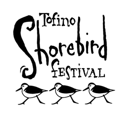 shorebird, birding, tofino, festival