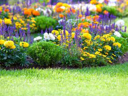 Nature, gardens, outdoor events, picnics, music, outdoor weddings