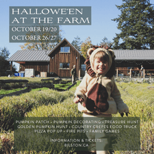 Bilston Creek Farm, Halloween