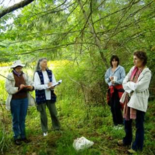 herbal medicine, herb walk, medicinal trees, Chanchal Cabrera, Innisfree Farm
