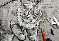 drawing, cats, dogs, art
