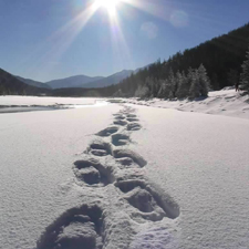 mount washington, snow shoe, fondue, nordic, new year's eve, 