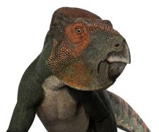 Dinosaurs of BC, Dinosaurs, Bc, Buster, Lecture, RBCM, Museum
