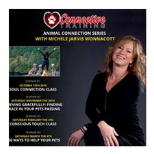 pet psychic, Michele Jarvis Wannocott