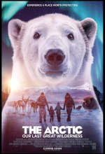 polar bear, Arctic