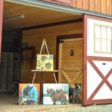 Broody rooster show