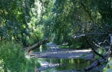 nature, photography