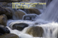 spring, photography, tour, workshop, Comox Valley