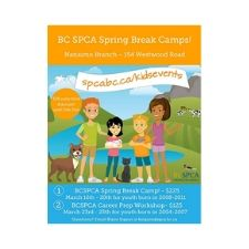 kids, animals, teen, camp, spring, break, dogs, cats, spca, bcspca, fun, games, crafts