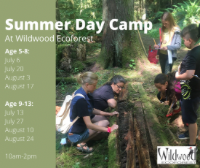 Wildwood Ecoforest, summer camp, kids activities, nature, ecology, 