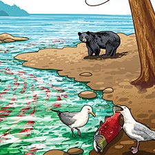 Cascadian Crusaders, ocean awareness