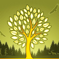 art, forest, public, art, gallery, cowichan, valley