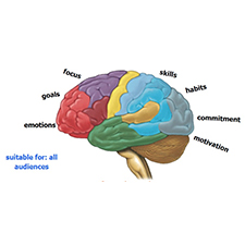 mindsets, brain, exercise, sports, emotions, fitness, mindgames, in the flow, learning preferences, habits, attitudes, behviours, motivation, skills