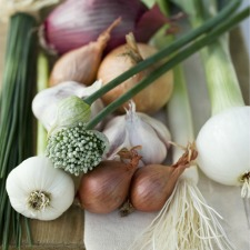 leeks, onions, shallots