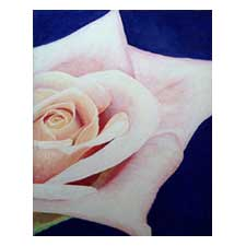 The Rose