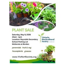 plants, flowers, vegetables, fruit, shrubs, bulbs, houseplants, plant sale, seedlings, grasses