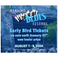 festival, blues, music, blues music, dancing