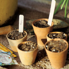 gardening