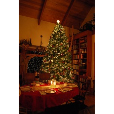 christmas fair, crafts fair, fundraiser, christmas tree, free event, shop local, unique gifts, christmas gifts, spirit of christmas, hot chocolate, relaxation, connection