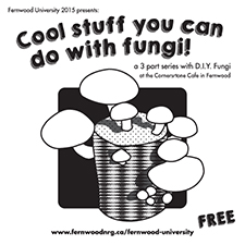 Fernwood, Fernwood University, Mushrooms, DIY, Fungi, DIY Fungi, Learning, Education, Mushroom, March, Free, Event, Beer, All Ages, All Levels