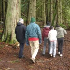 Roche Cove, guided hike, adult, free, 4 hours