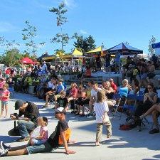 Fernwood, community, party